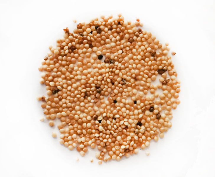 Amaranto Fercitan (Amaranthus hypochondriacus) - semilla antiva de Mesoamérica, superalimento - Las Cañadas