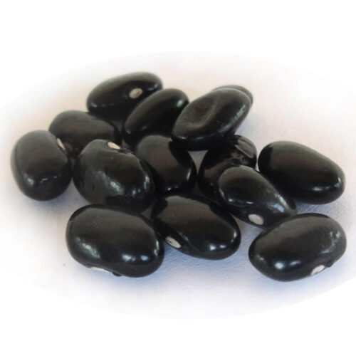 Frijoles de guía