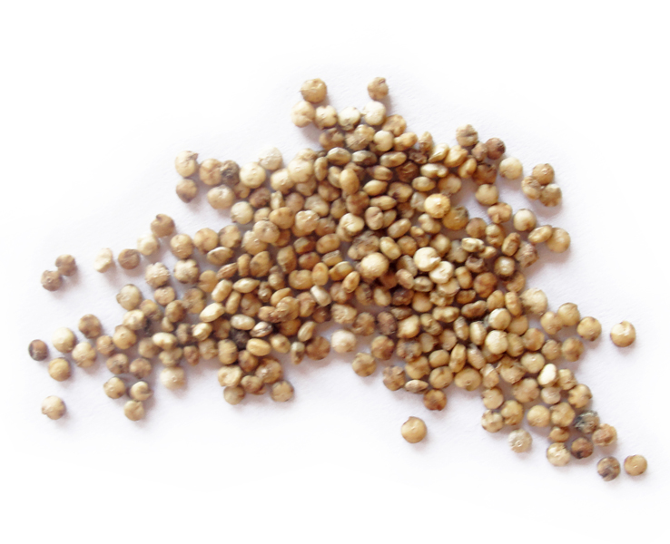 Quinoa