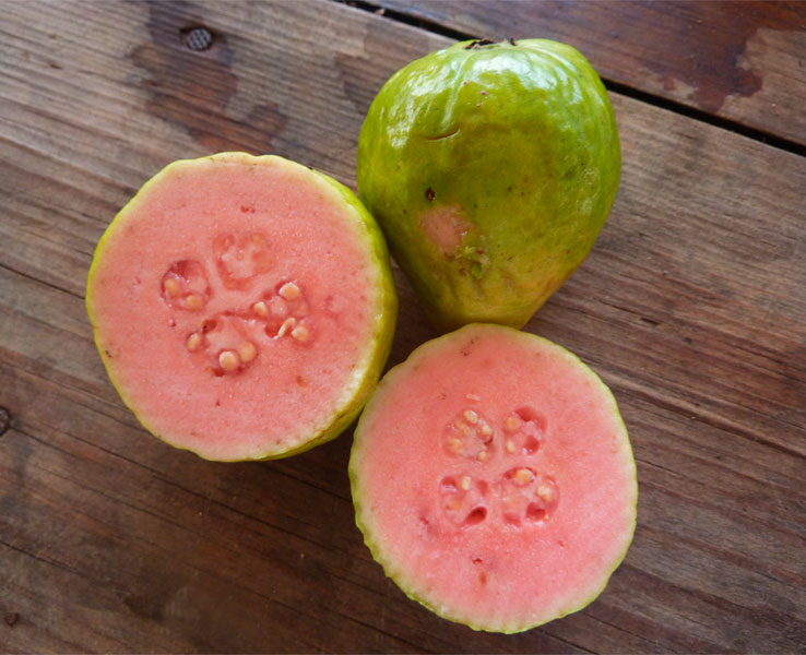 Guayaba Indian red