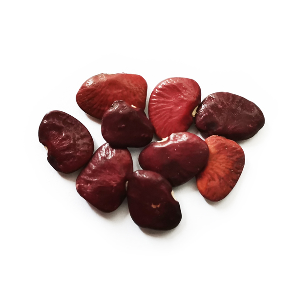 Frijol de guía lima tinto
