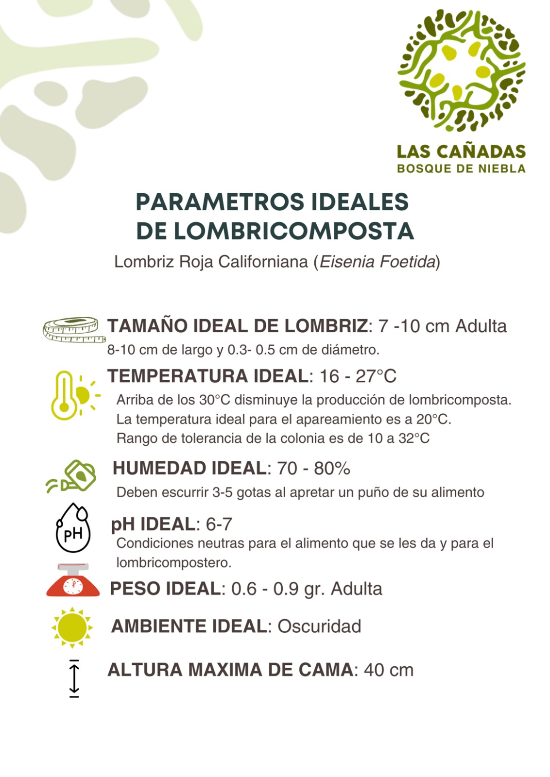 Pie de Cría - Lombriz Roja Californiana - Imagen 3