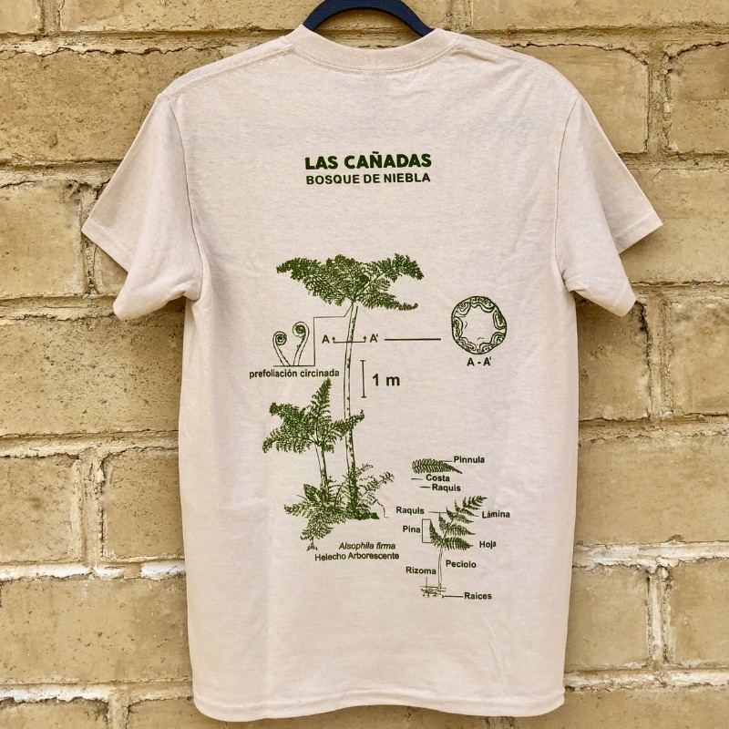 Playera helecho arborescente – color arena – serigrafía – algodón 100% – Las Cañadas - Imagen 2