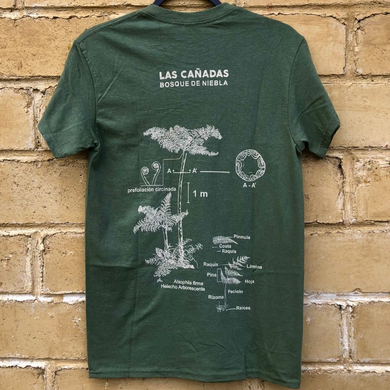 Playera helecho arborescente – verde militar – serigrafía – algodón 100% – Las Cañadas - Imagen 2
